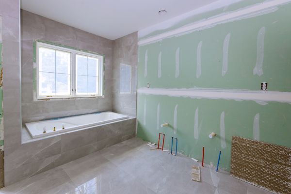 Bathroom Gutting